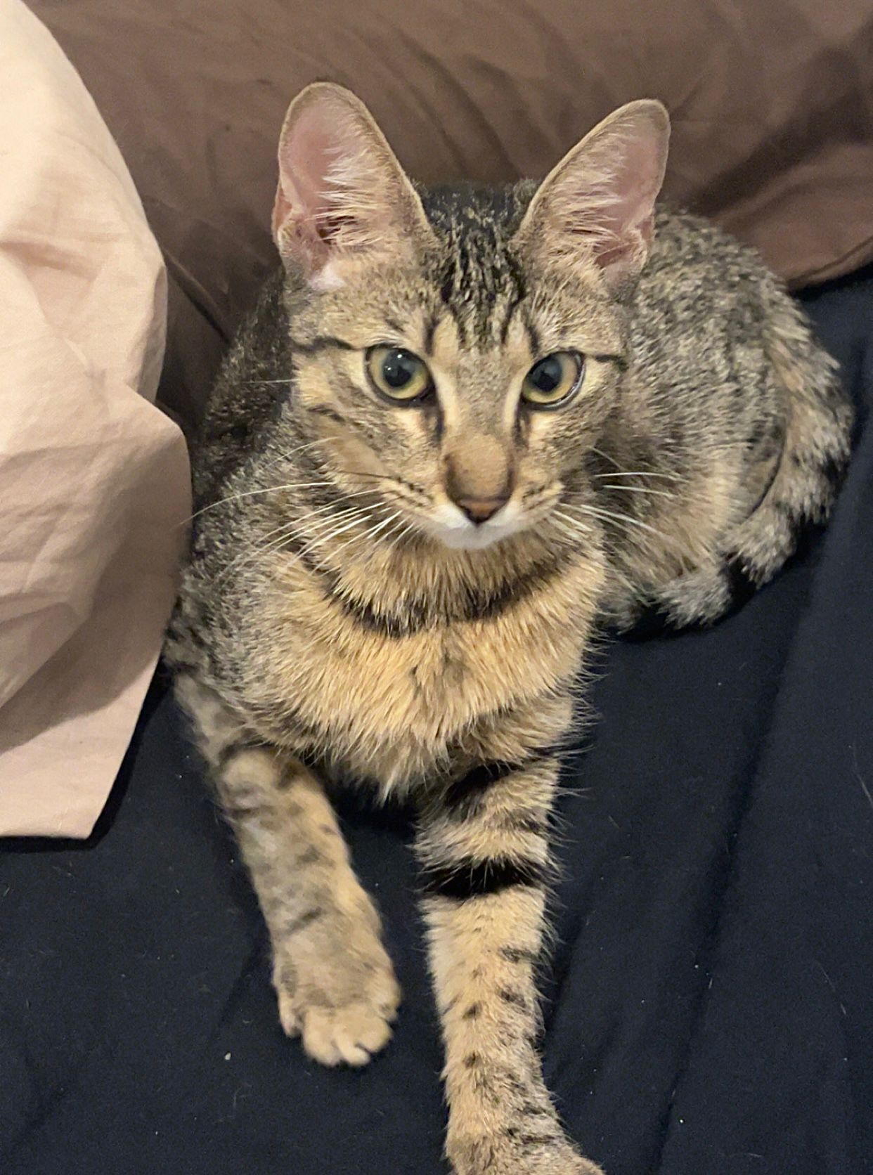 WhatsApp Image 2025-10-20 at 12.04.25 (4)