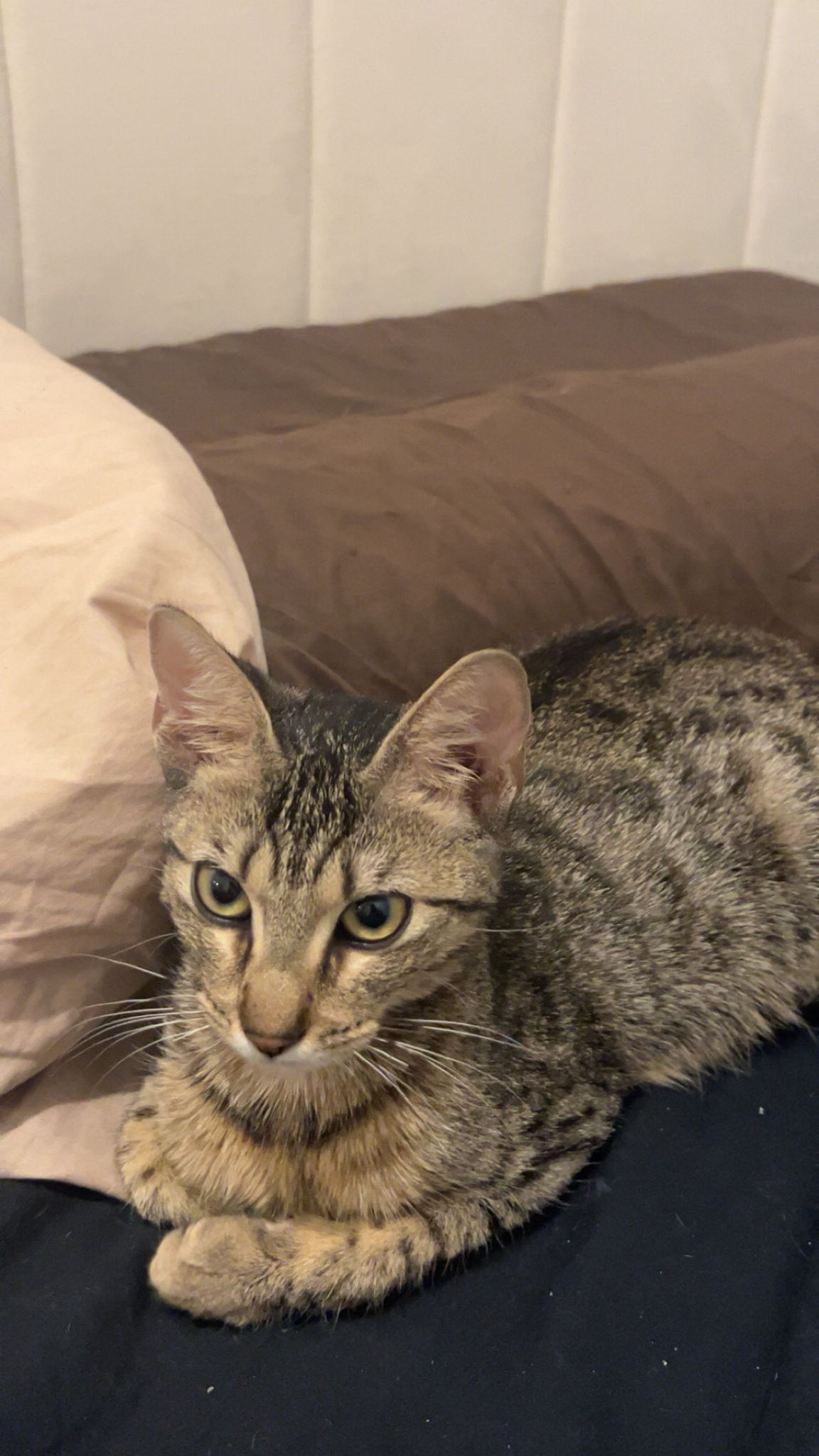 WhatsApp Image 2025-10-20 at 12.04.25