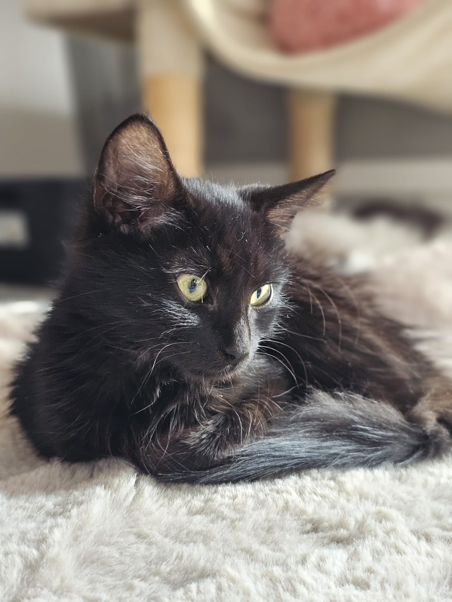 WhatsApp Image 2025-10-22 at 23.38.33