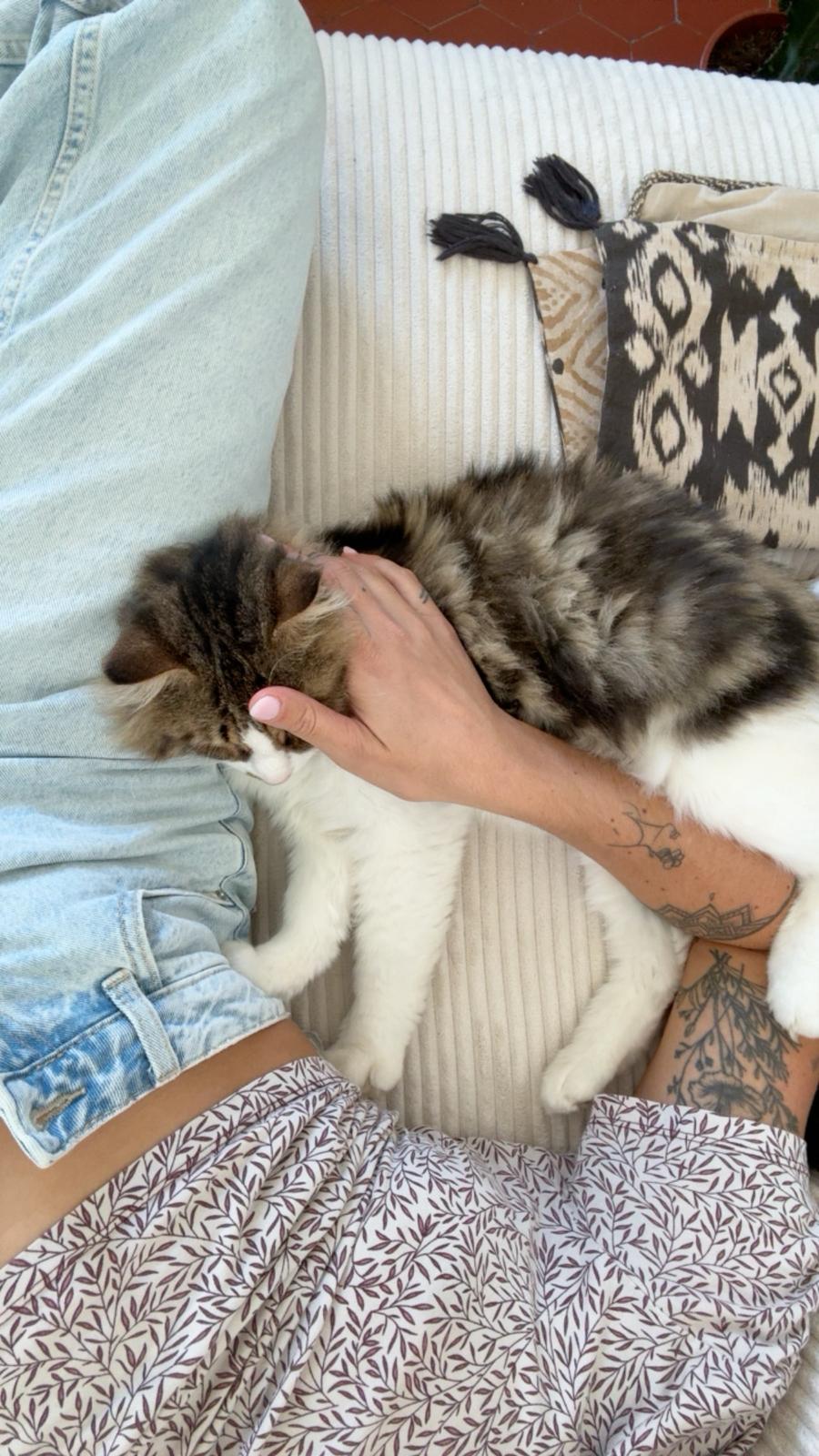 WhatsApp Image 2025-10-23 at 09.30.19 (1)