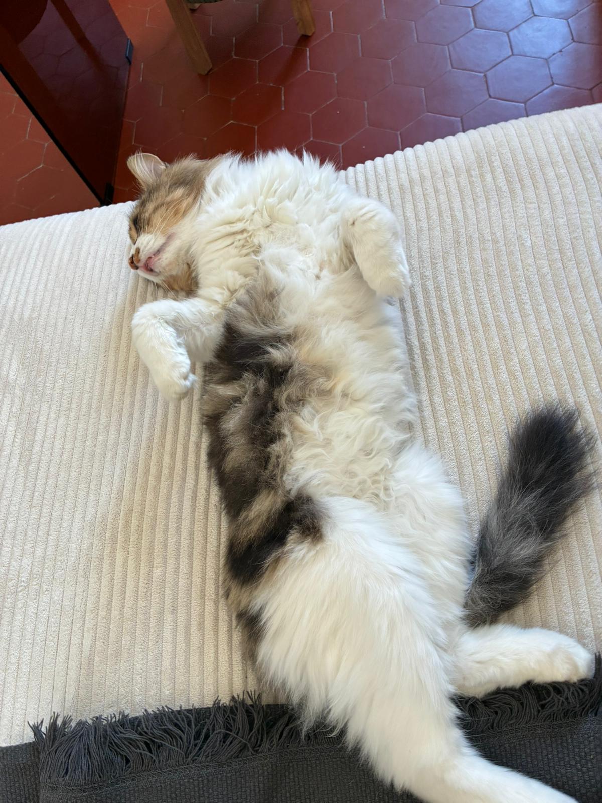 WhatsApp Image 2025-10-23 at 09.30.19