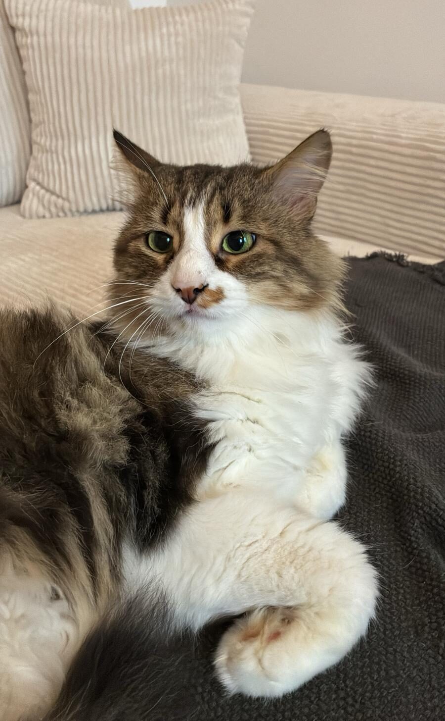 WhatsApp Image 2025-10-23 at 09.30.20