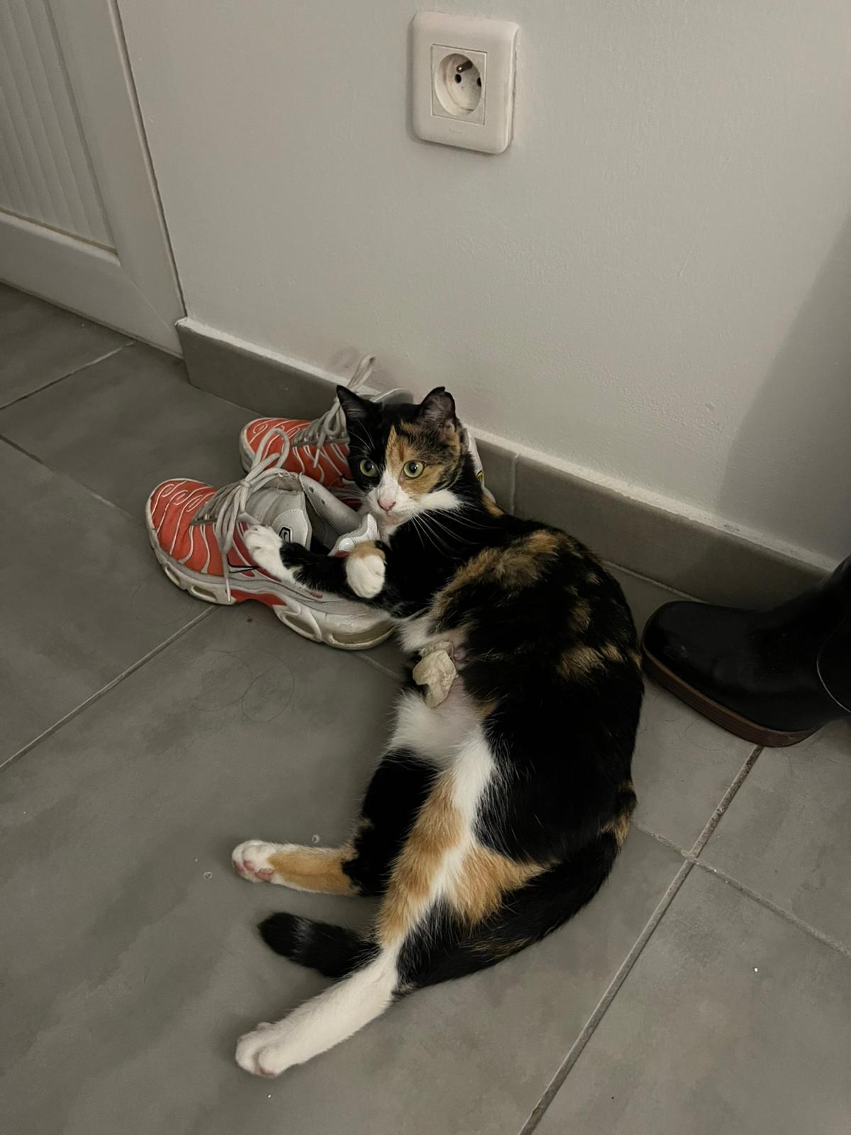 WhatsApp Image 2025-10-23 at 10.08.39 (1)