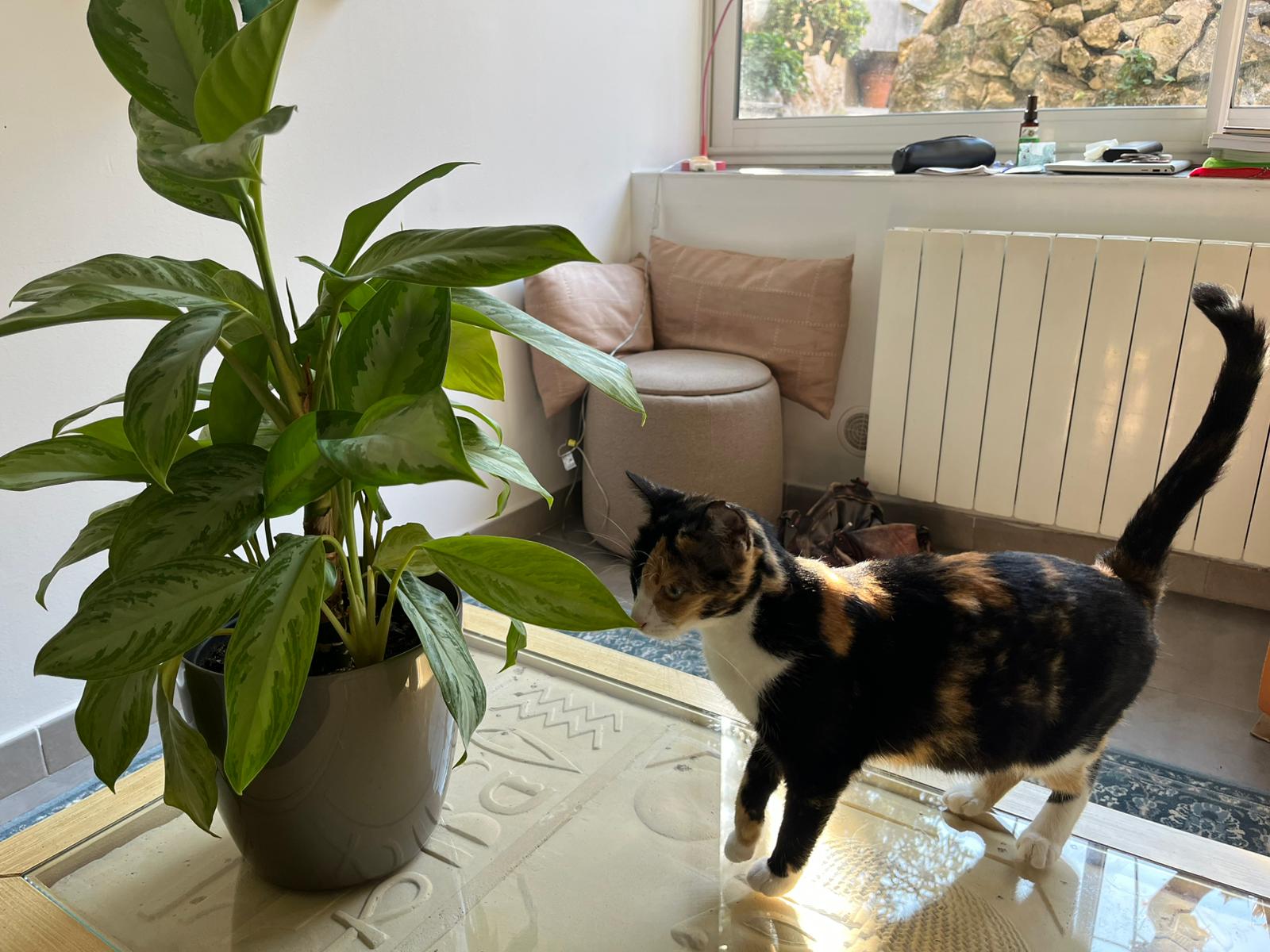 WhatsApp Image 2025-10-23 at 10.08.39