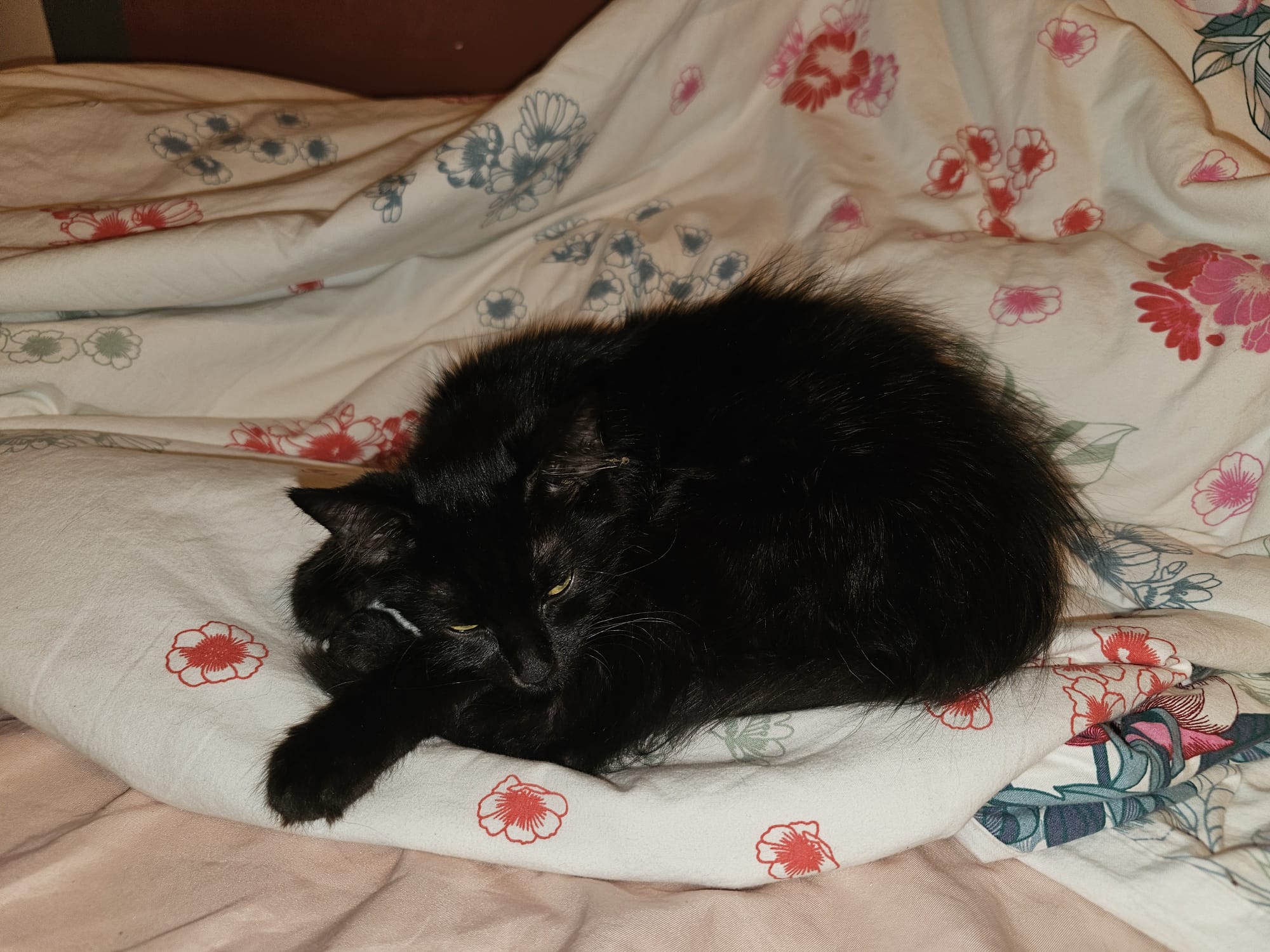 WhatsApp Image 2025-10-24 at 21.04.53 (1)