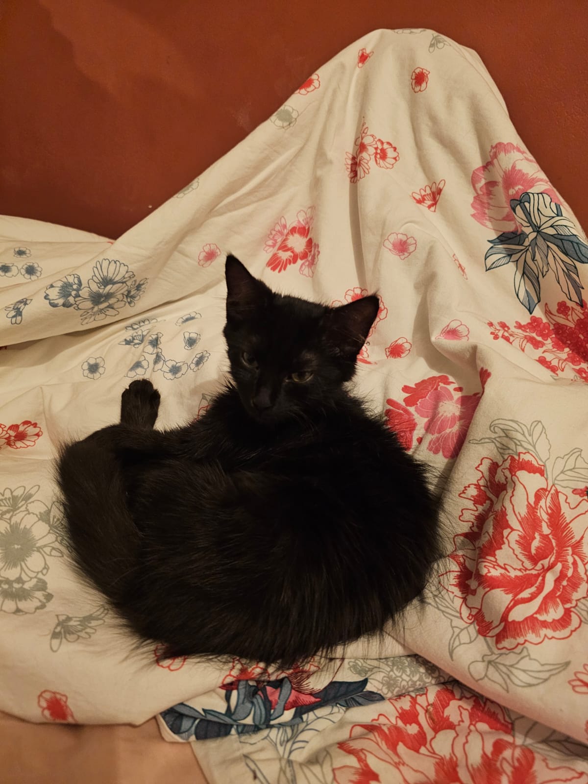 WhatsApp Image 2025-10-24 at 21.04.53