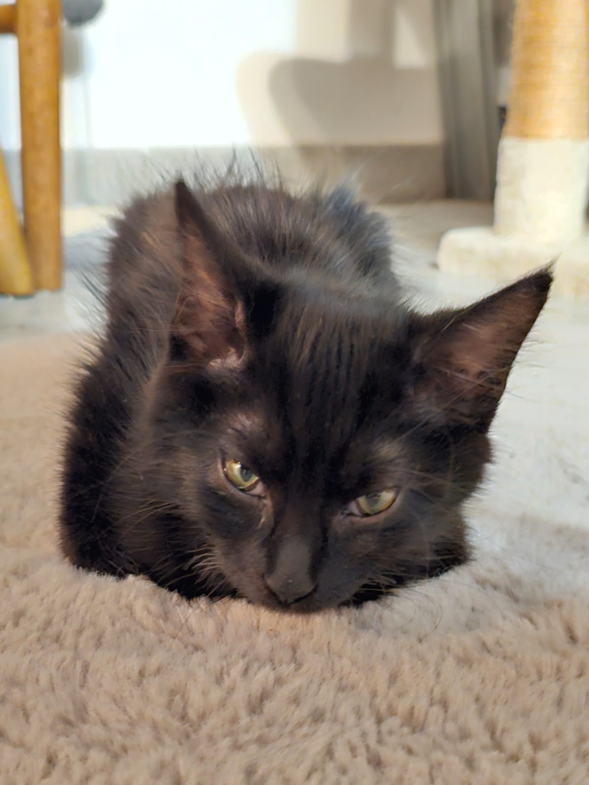 WhatsApp Image 2025-10-24 at 21.04.54 (1)