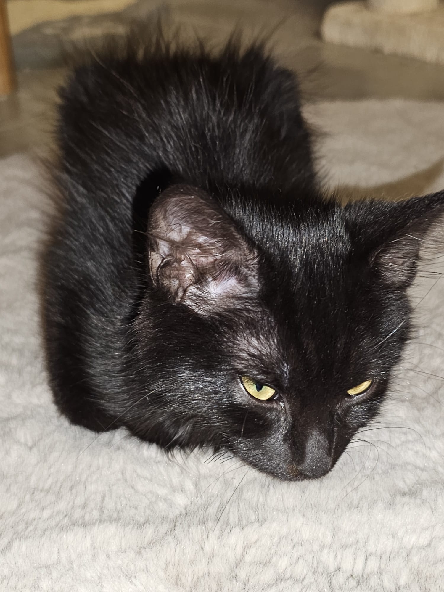 WhatsApp Image 2025-10-24 at 21.04.54 (2)