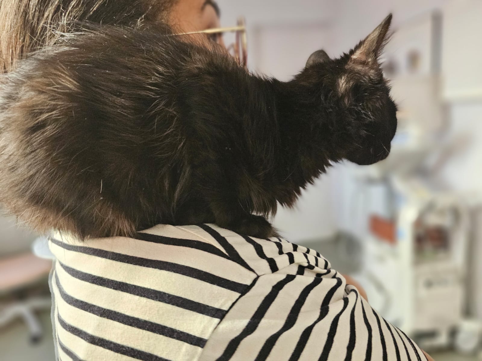 WhatsApp Image 2025-10-24 at 21.04.54