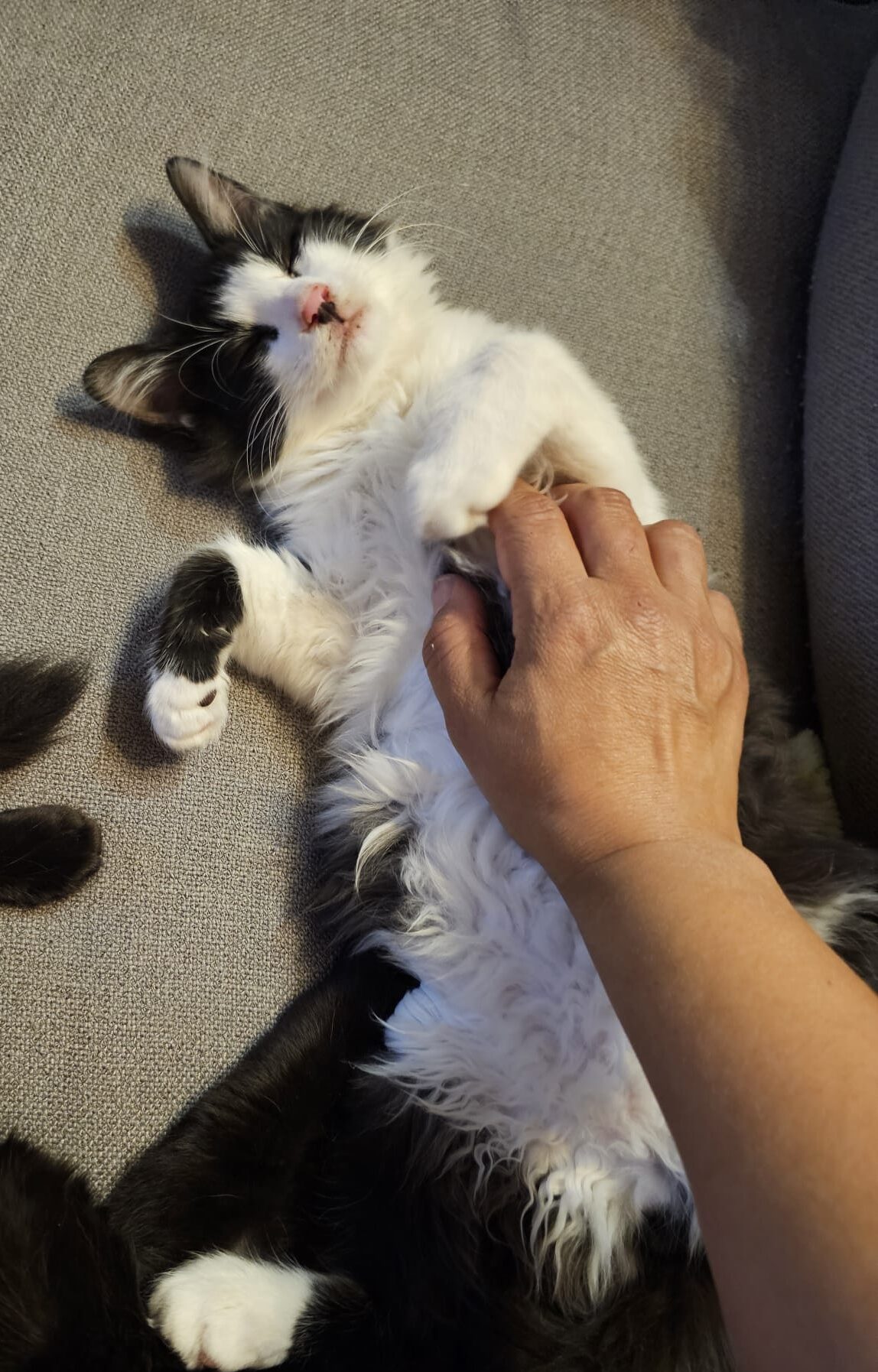 WhatsApp Image 2025-10-24 at 21.29.33 (1)