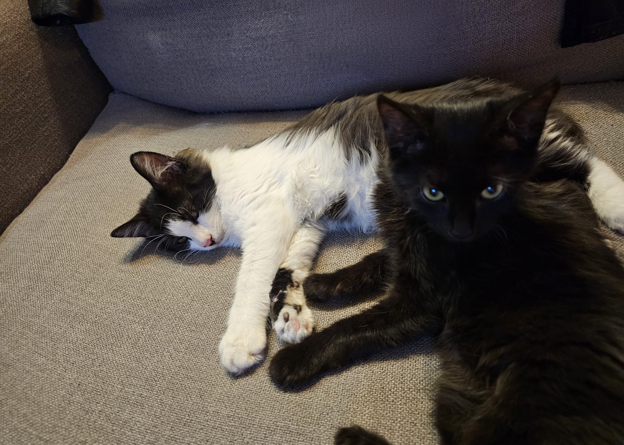 WhatsApp Image 2025-10-24 at 21.29.33 (2)