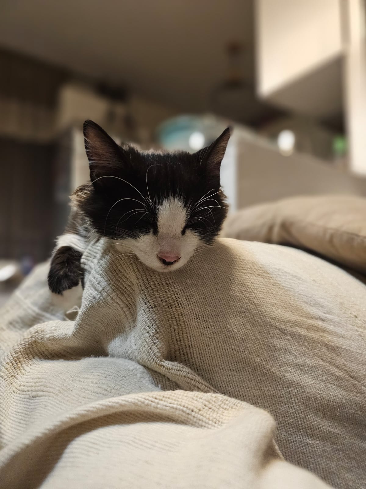 WhatsApp Image 2025-10-24 at 21.29.33 (3)