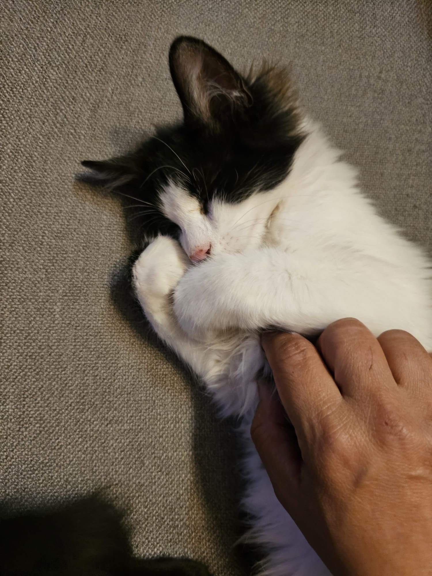 WhatsApp Image 2025-10-24 at 21.29.33