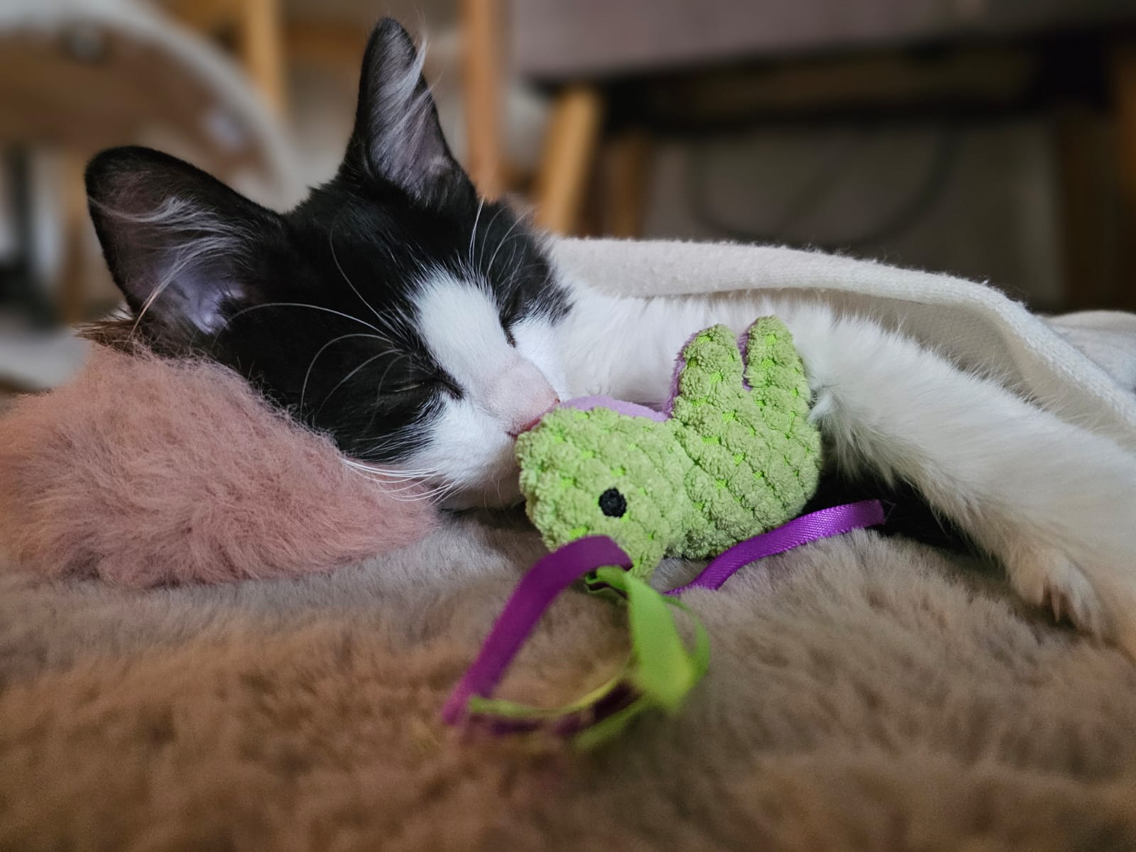 WhatsApp Image 2025-10-24 at 21.29.34