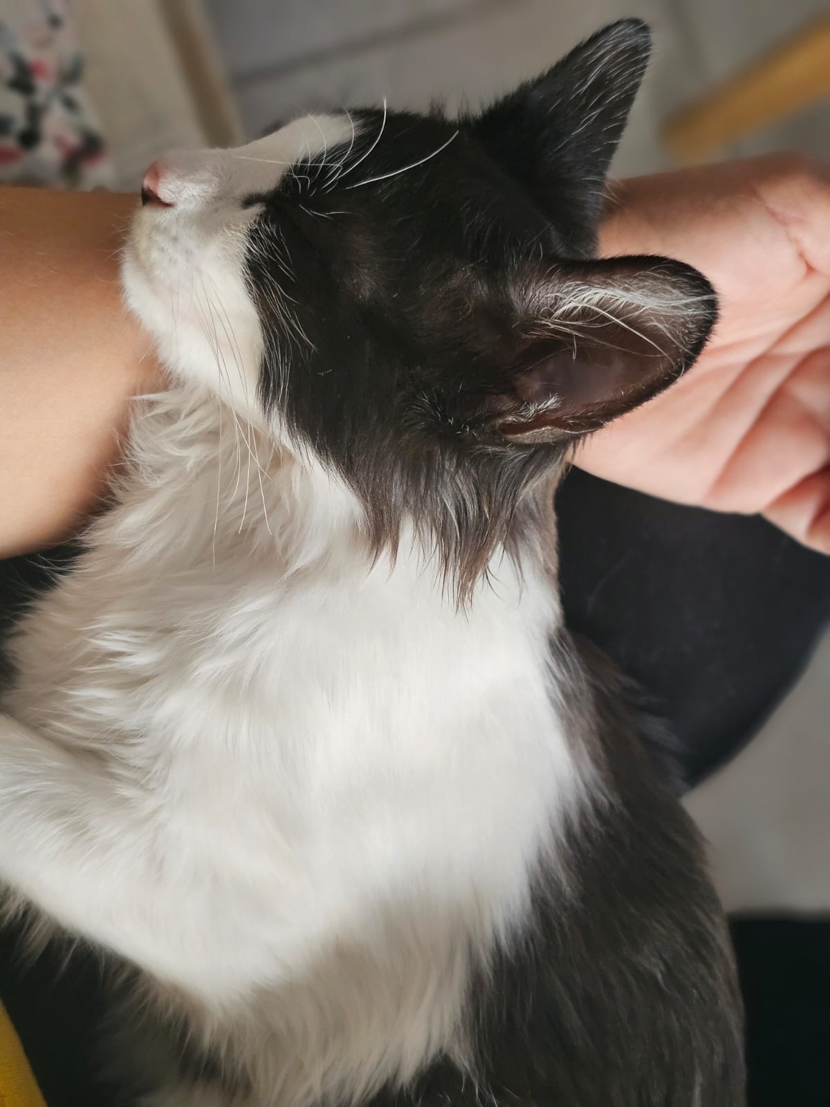 WhatsApp Image 2025-10-24 at 21.29.35