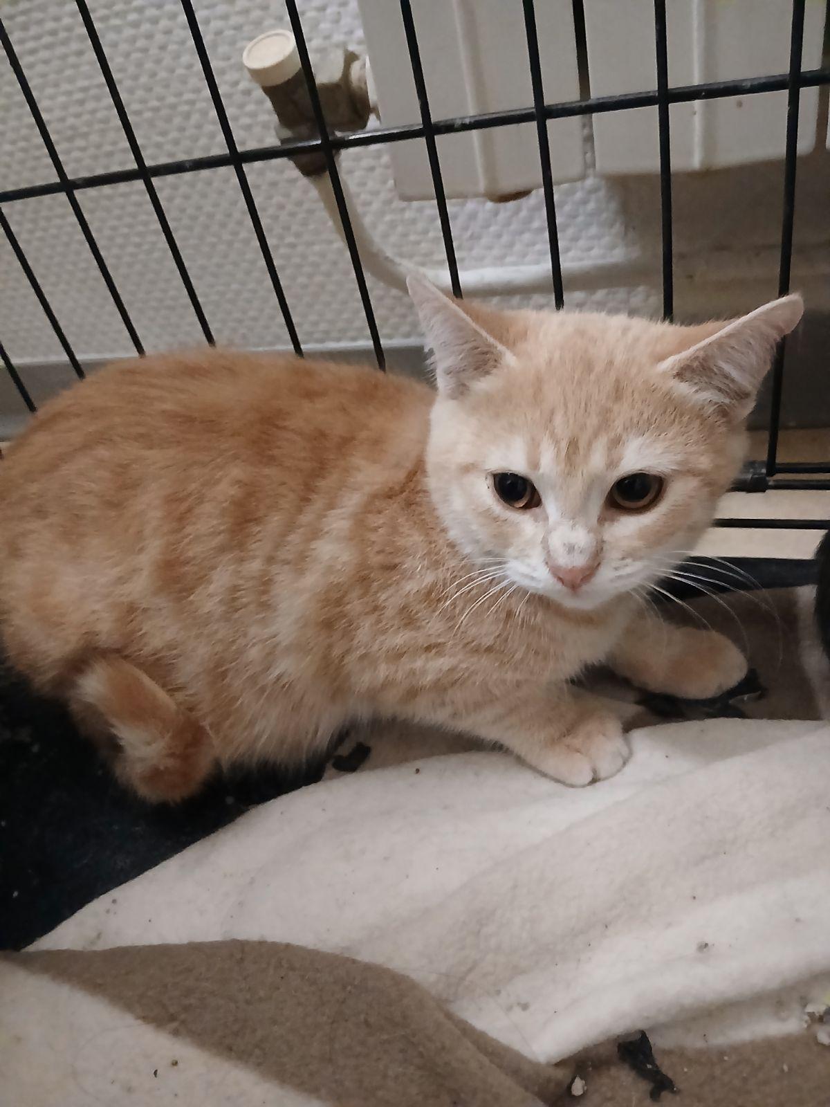 WhatsApp Image 2025-10-24 at 21.35.46