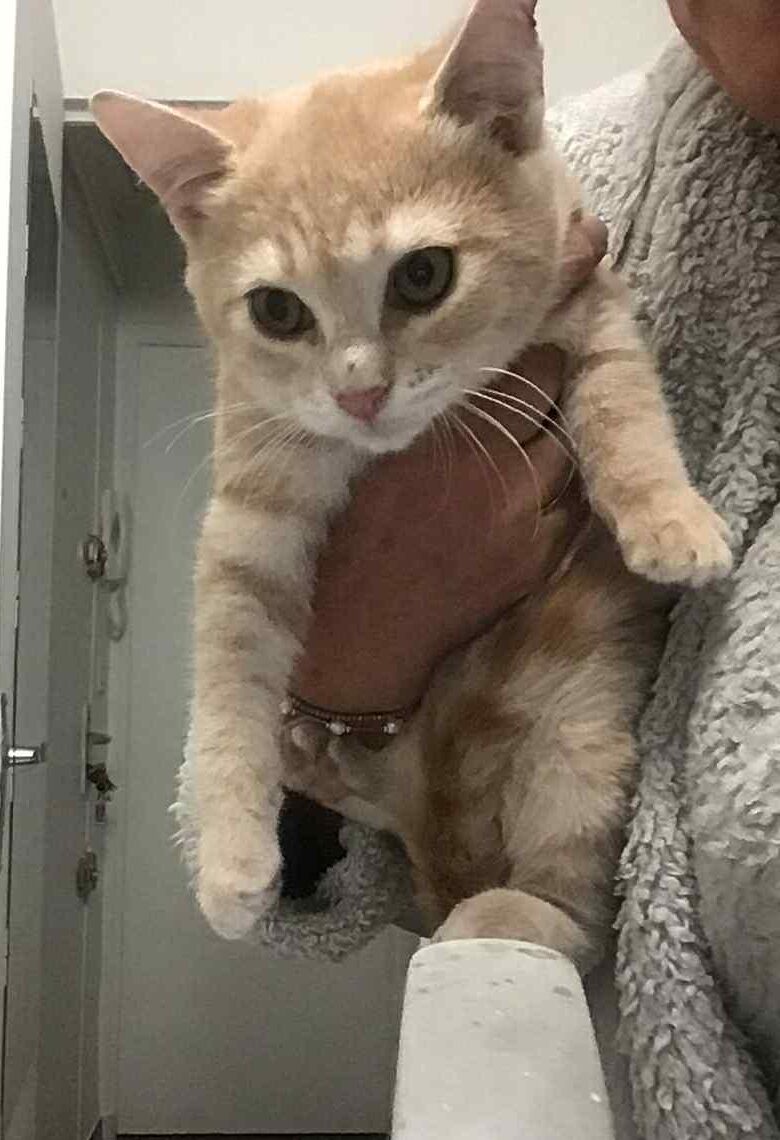 WhatsApp Image 2025-10-24 at 21.45.10