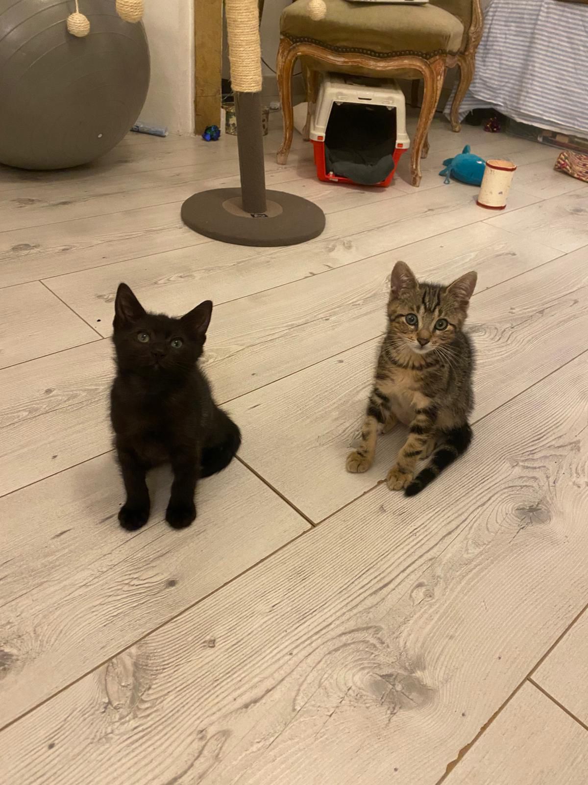 WhatsApp Image 2025-10-25 at 07.58.17 (1)