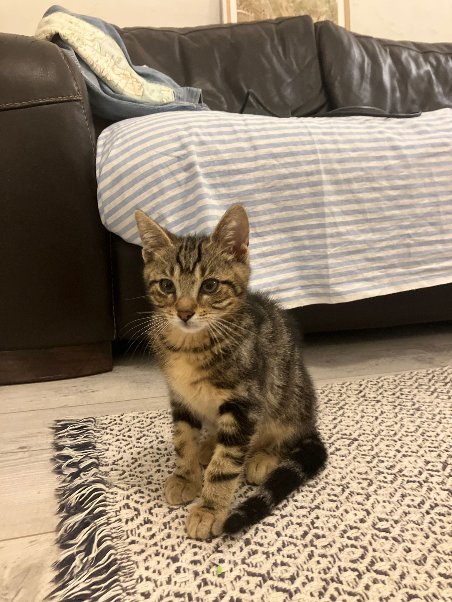 WhatsApp Image 2025-10-25 at 07.58.17 (2)