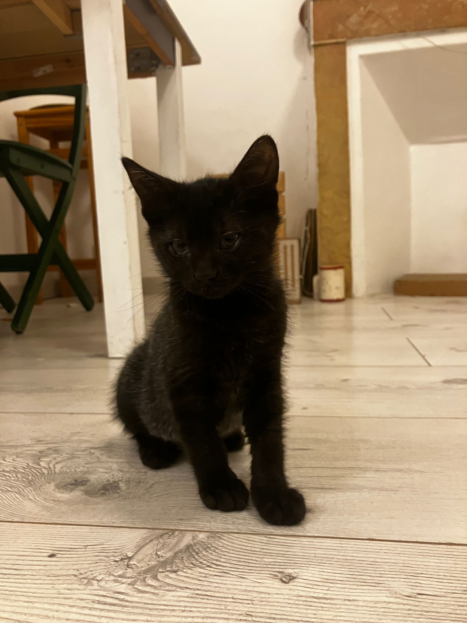 WhatsApp Image 2025-10-25 at 07.58.17 (3)