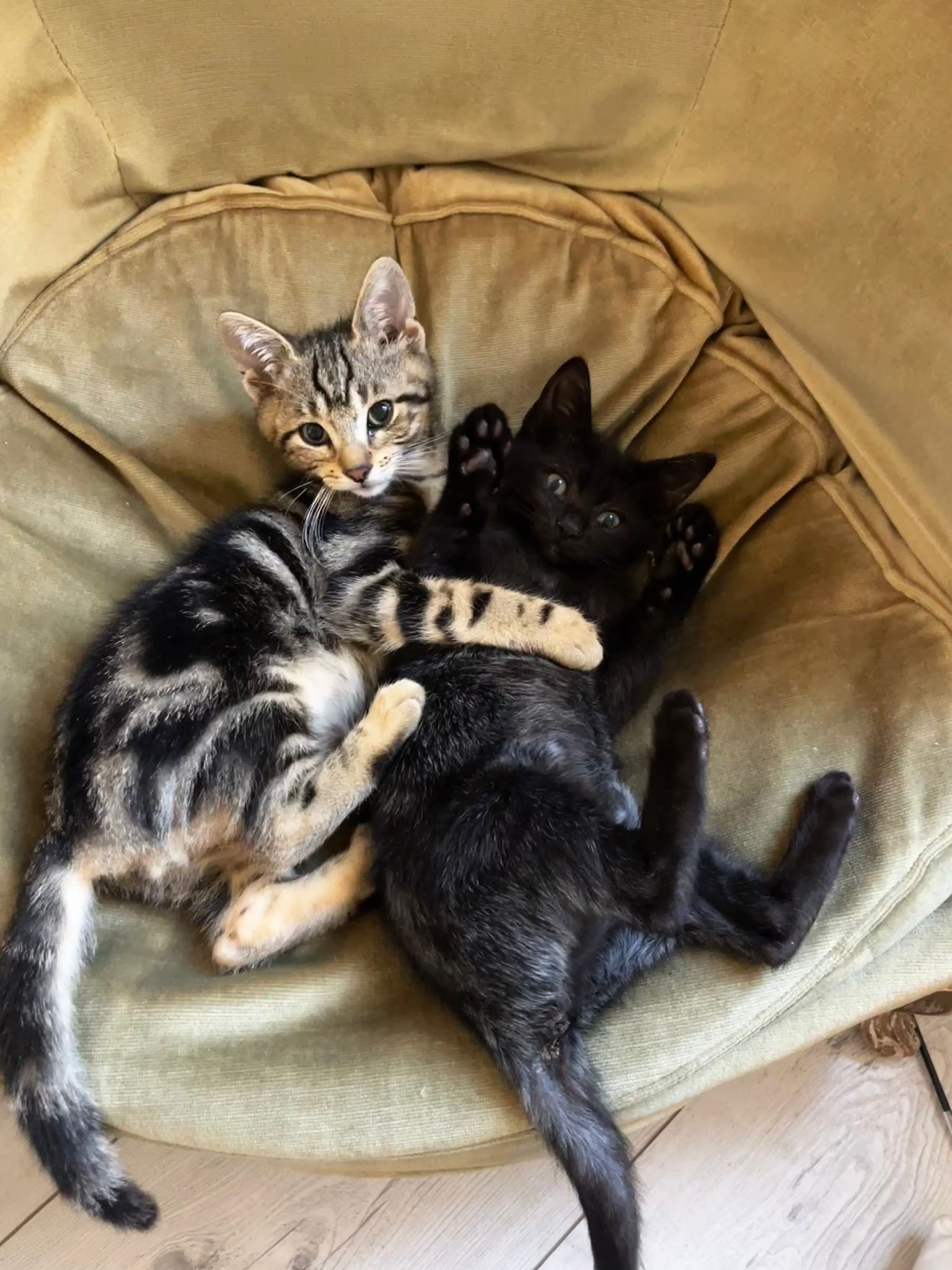 WhatsApp Image 2025-10-25 at 07.58.17