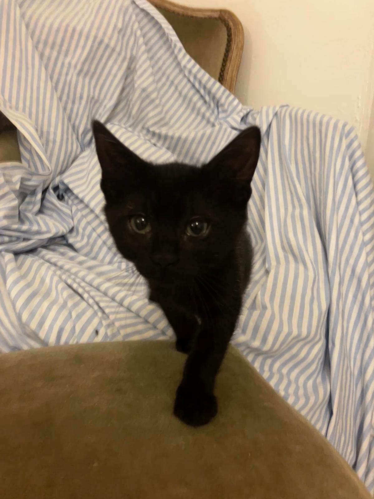 WhatsApp Image 2025-10-25 at 07.58.37