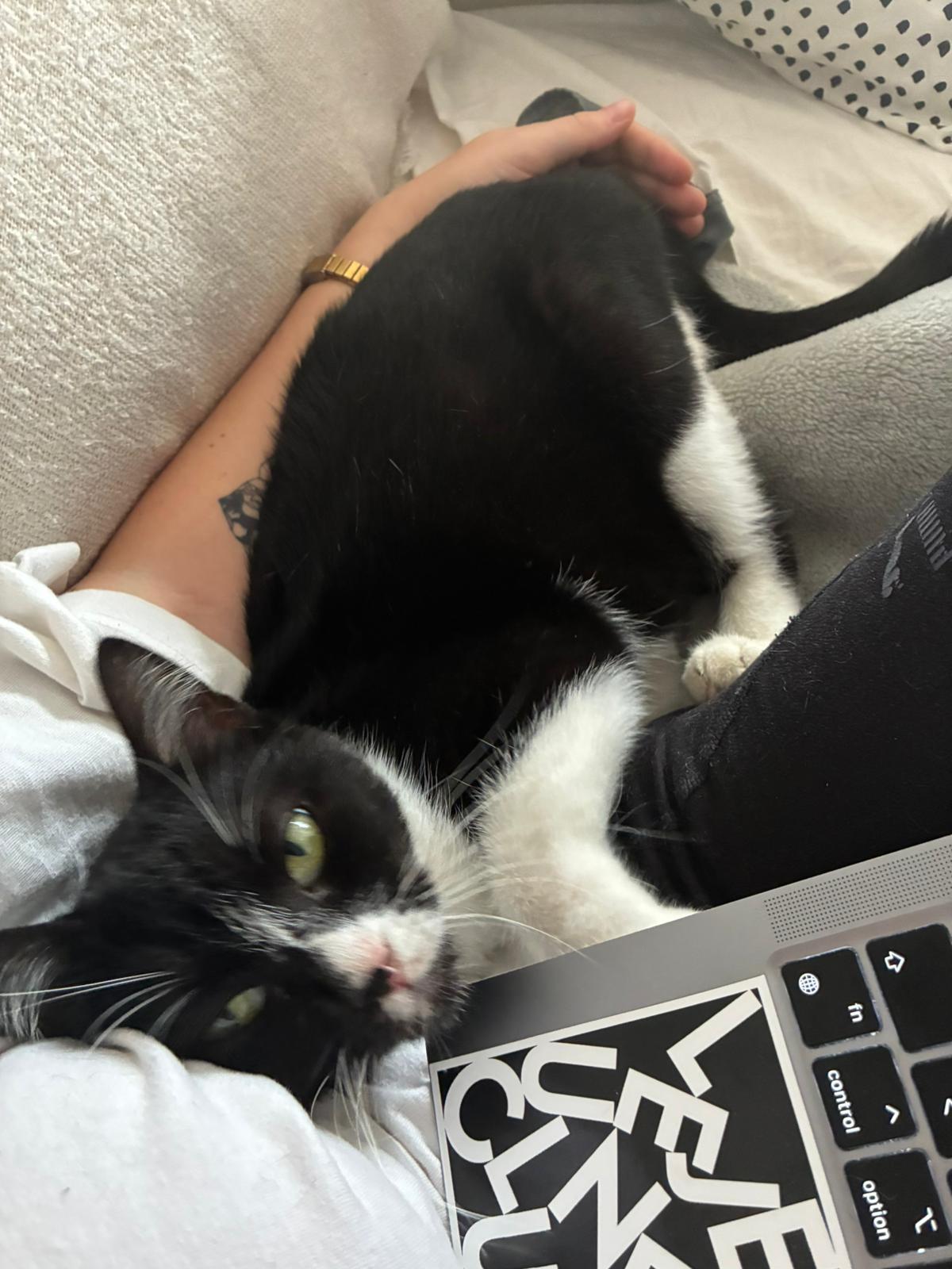 WhatsApp Image 2025-10-25 at 09.36.07 (1)