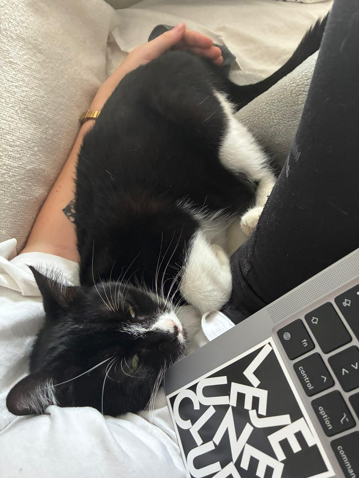 WhatsApp Image 2025-10-25 at 09.36.07