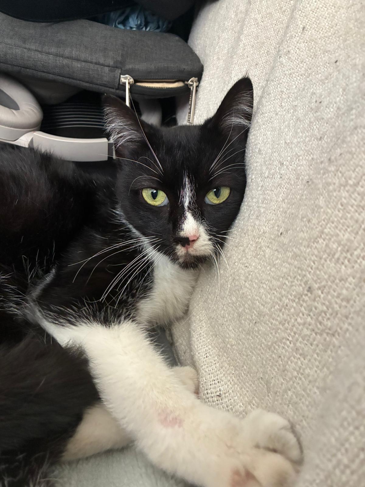 WhatsApp Image 2025-10-25 at 09.36.11 (1)