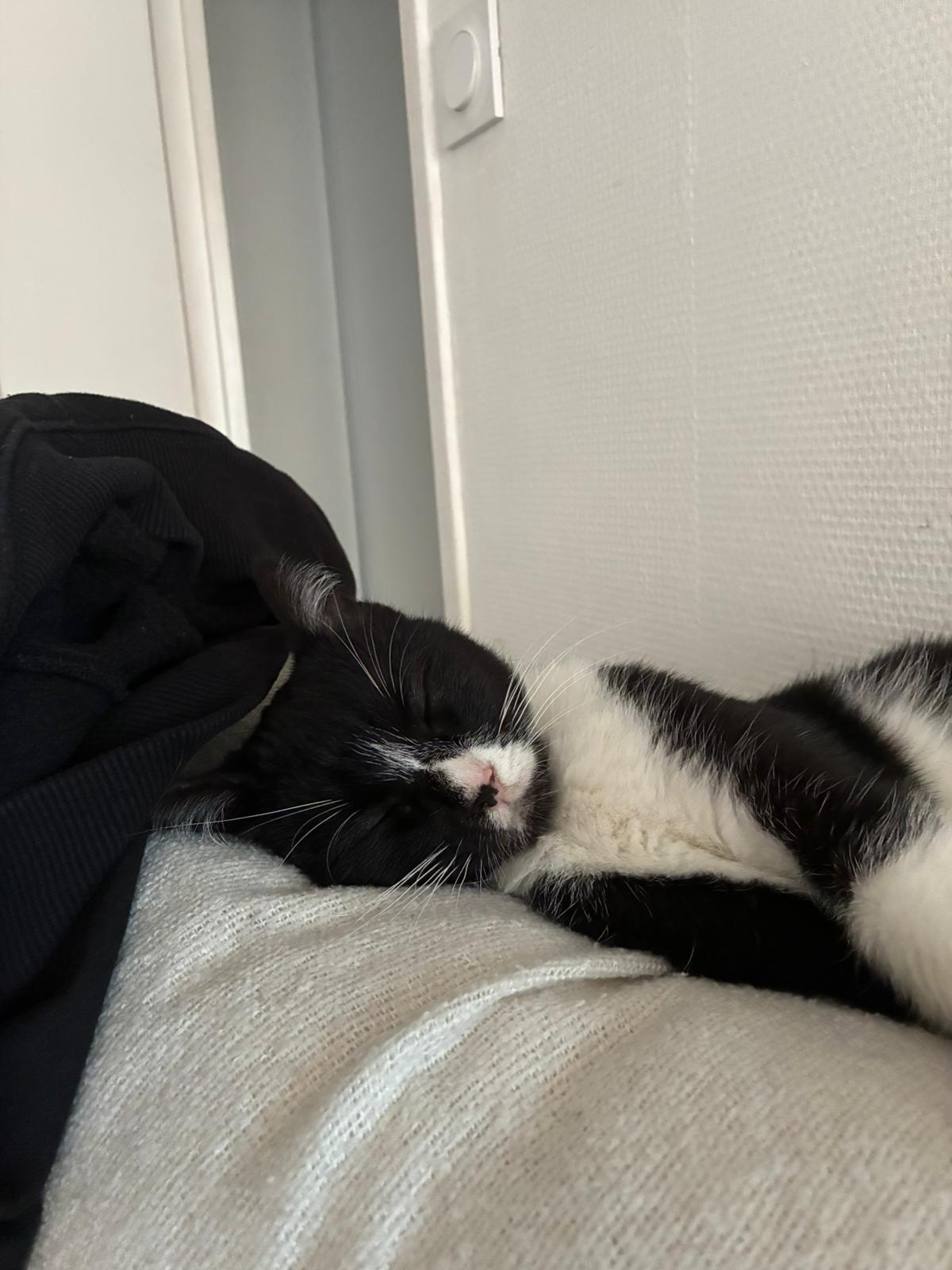 WhatsApp Image 2025-10-25 at 09.36.11 (2)