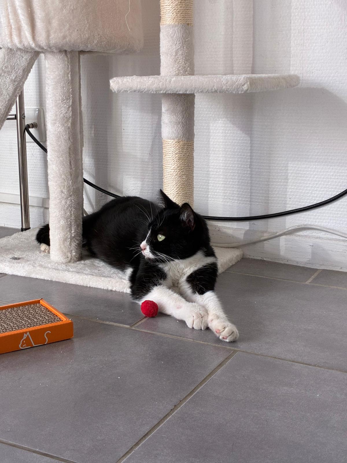 WhatsApp Image 2025-10-25 at 09.36.11 (3)