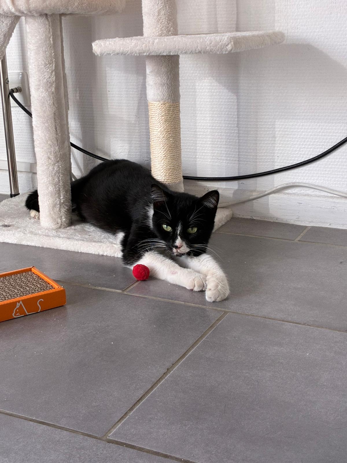 WhatsApp Image 2025-10-25 at 09.36.11 (4)