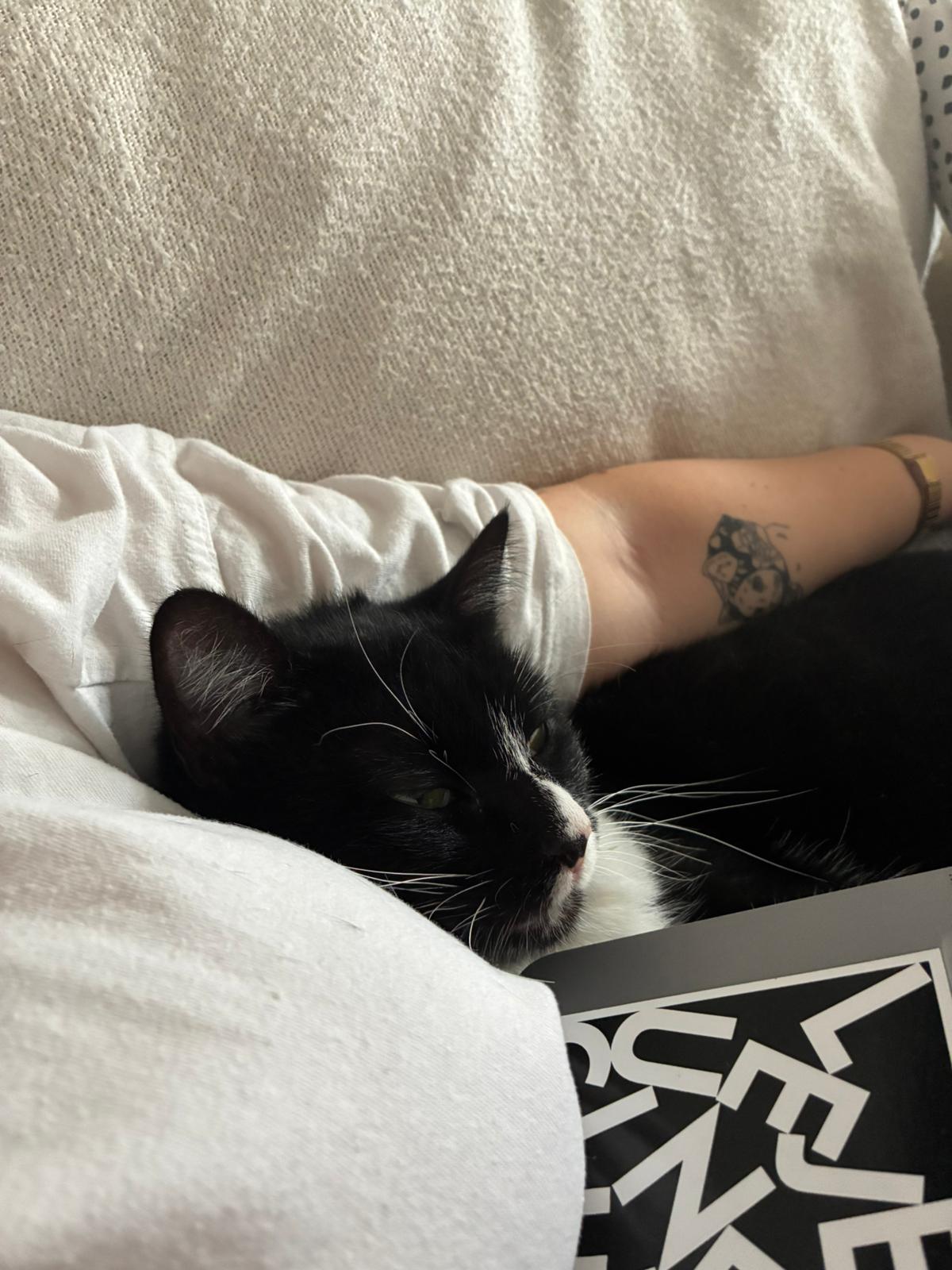 WhatsApp Image 2025-10-25 at 09.36.11