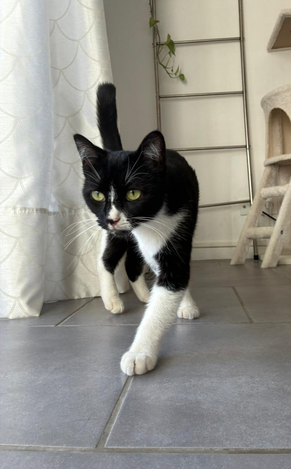 WhatsApp Image 2025-10-25 at 09.36.12 (1)