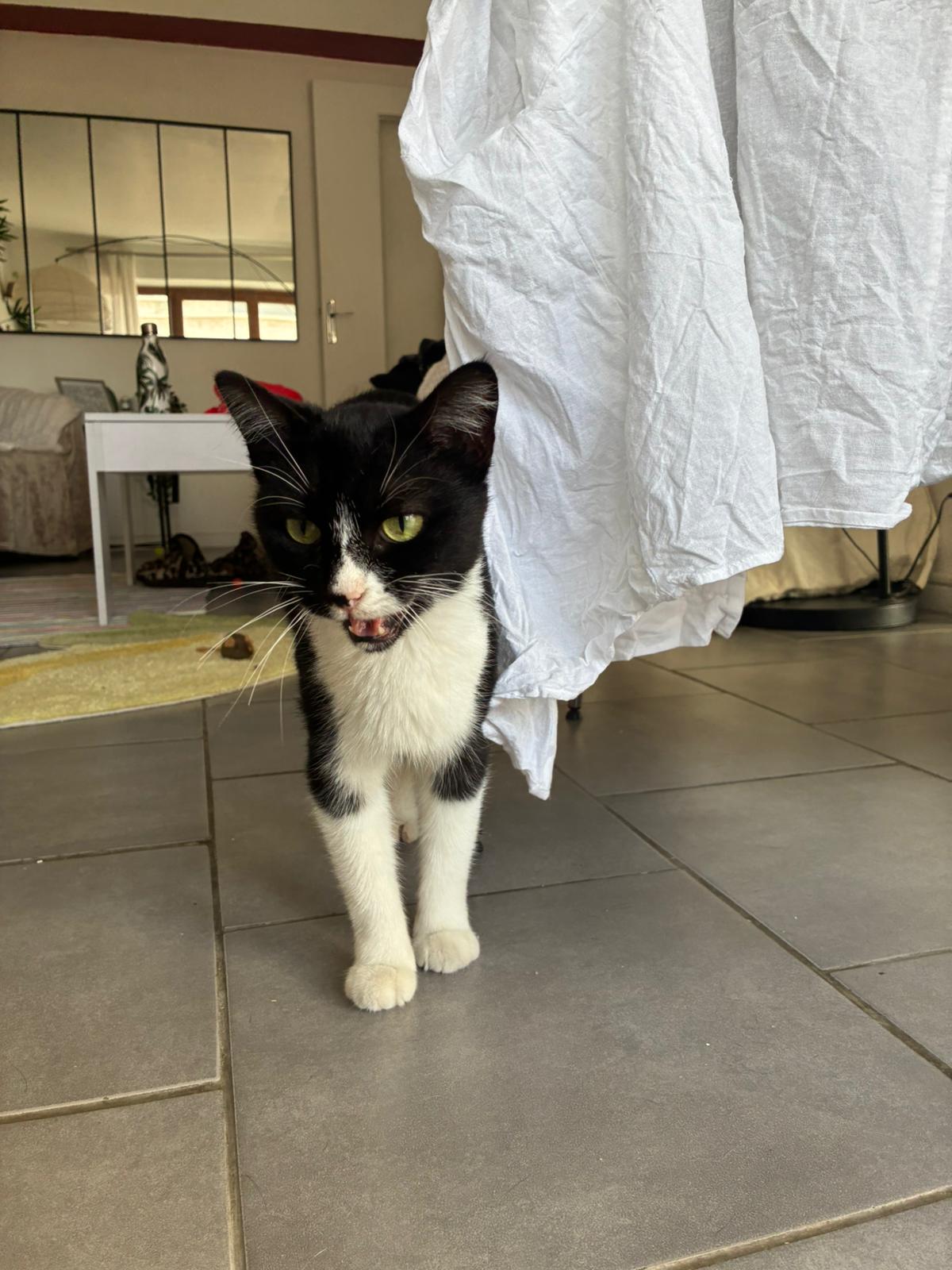 WhatsApp Image 2025-10-25 at 09.36.12 (2)