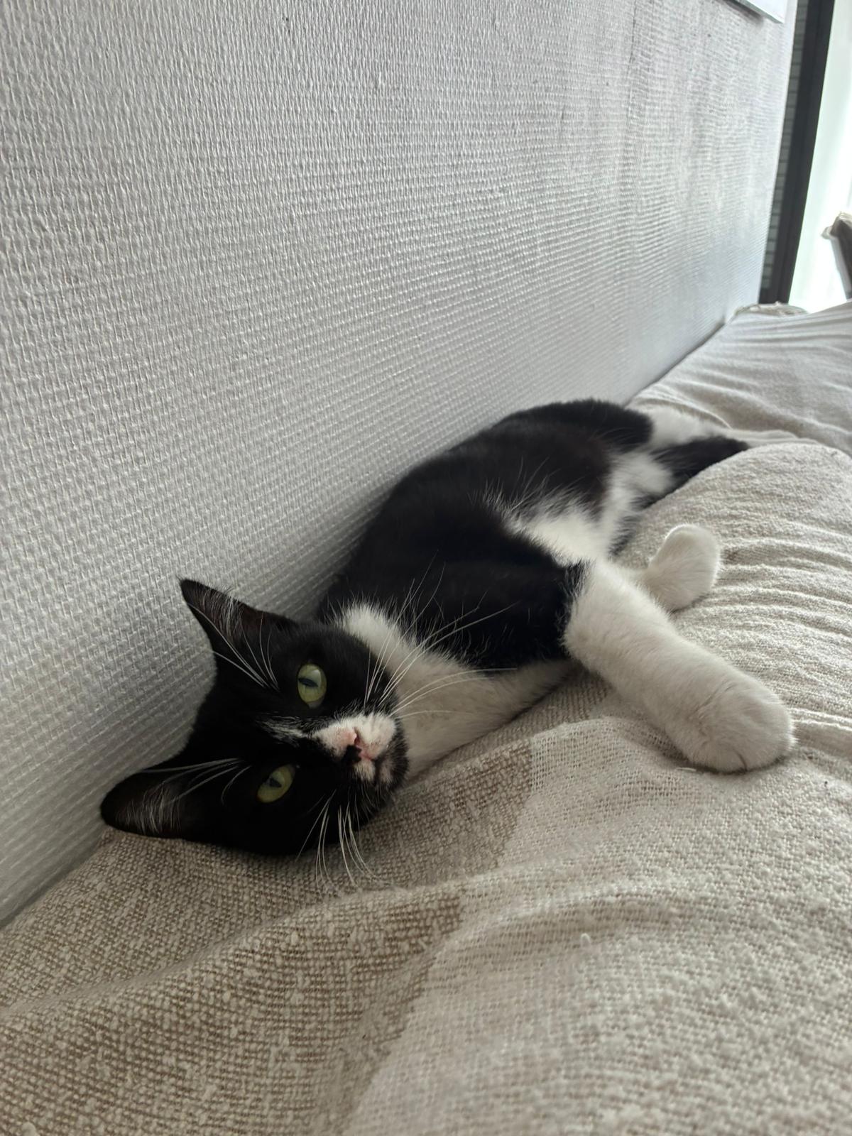 WhatsApp Image 2025-10-25 at 09.36.12 (3)