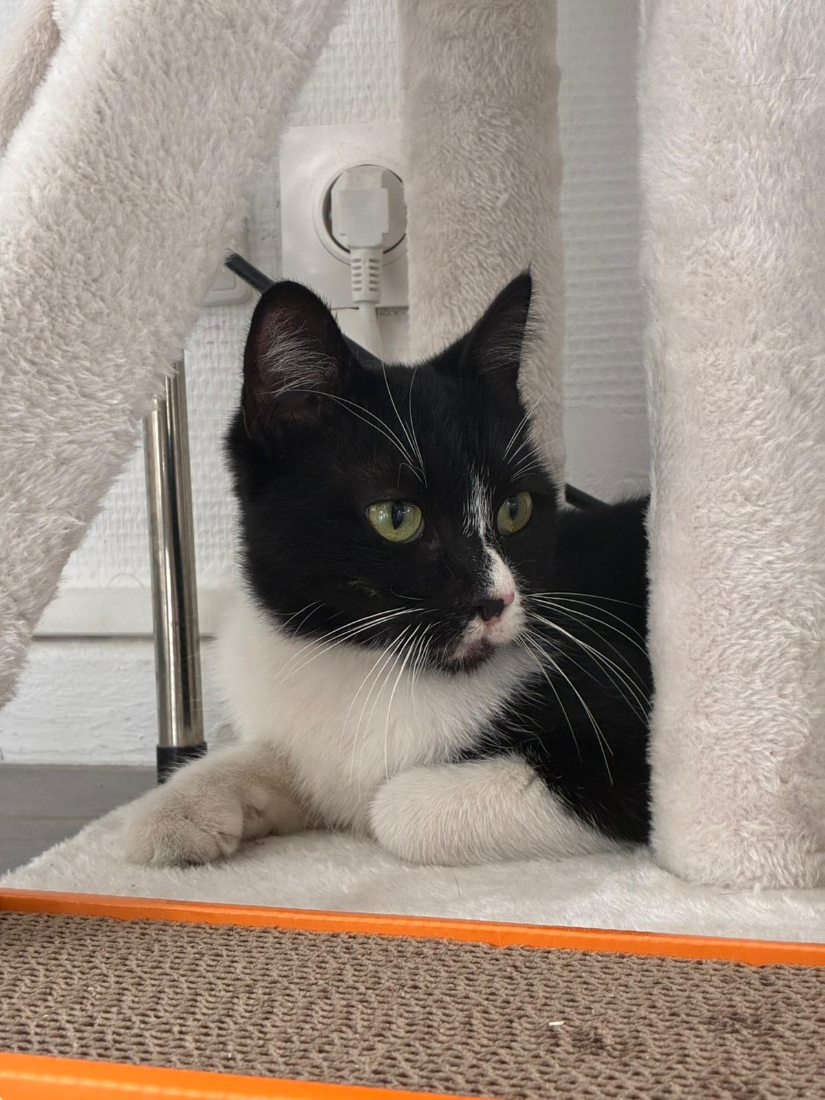 WhatsApp Image 2025-10-25 at 09.36.12 (4)