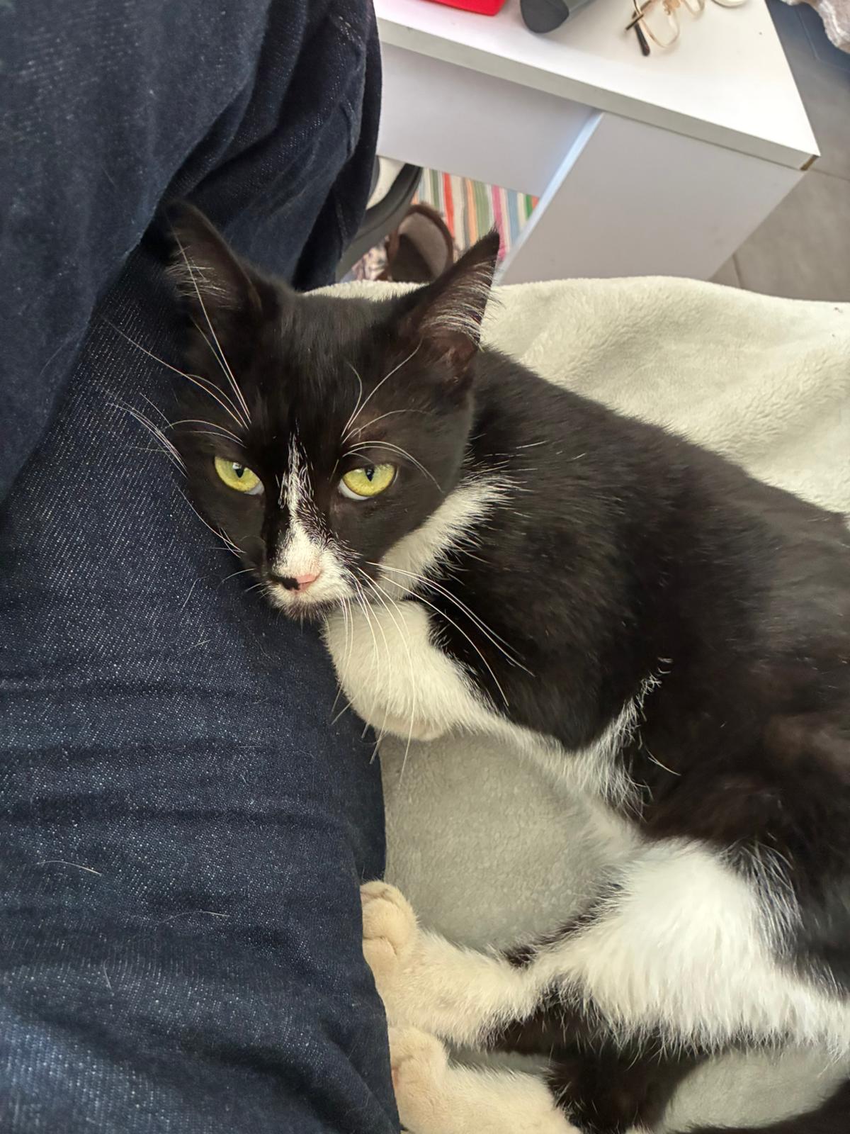 WhatsApp Image 2025-10-25 at 09.36.12