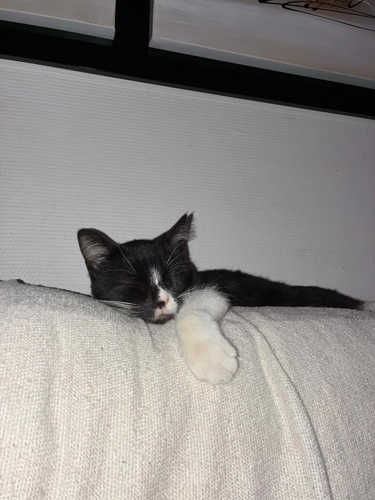 WhatsApp Image 2025-10-25 at 09.36.13