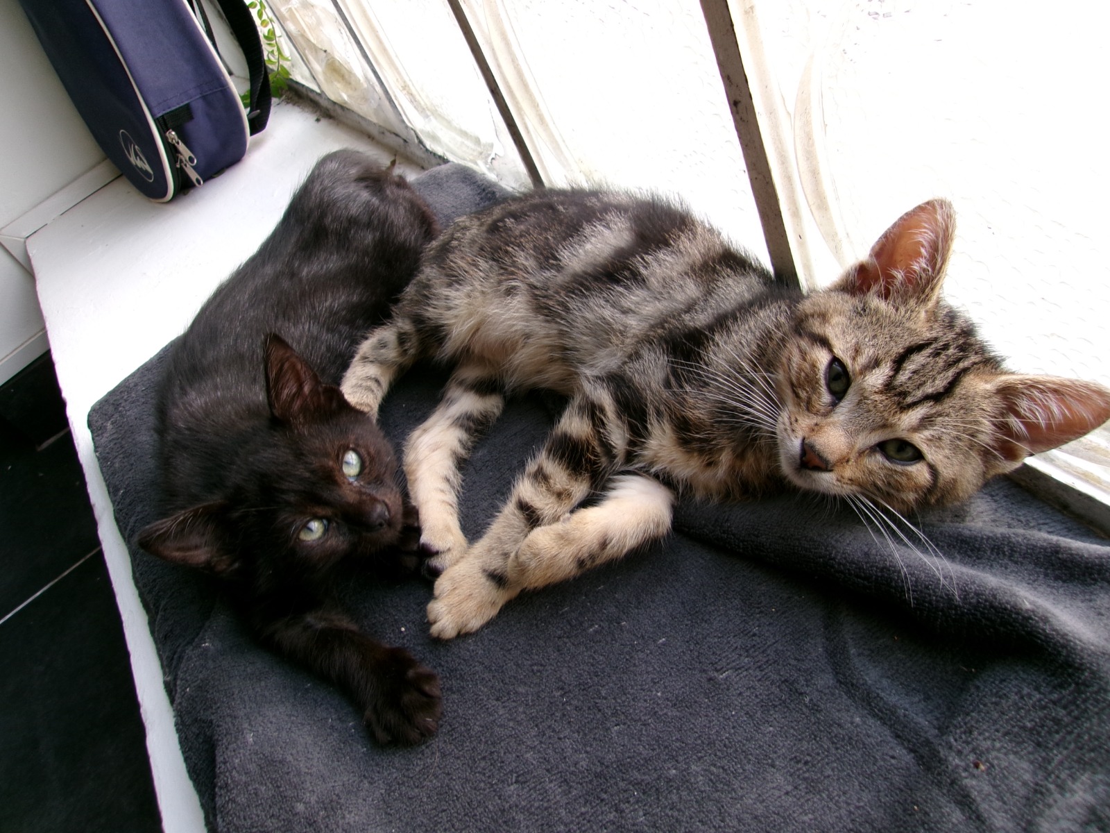 WhatsApp Image 2025-10-25 at 12.15.33