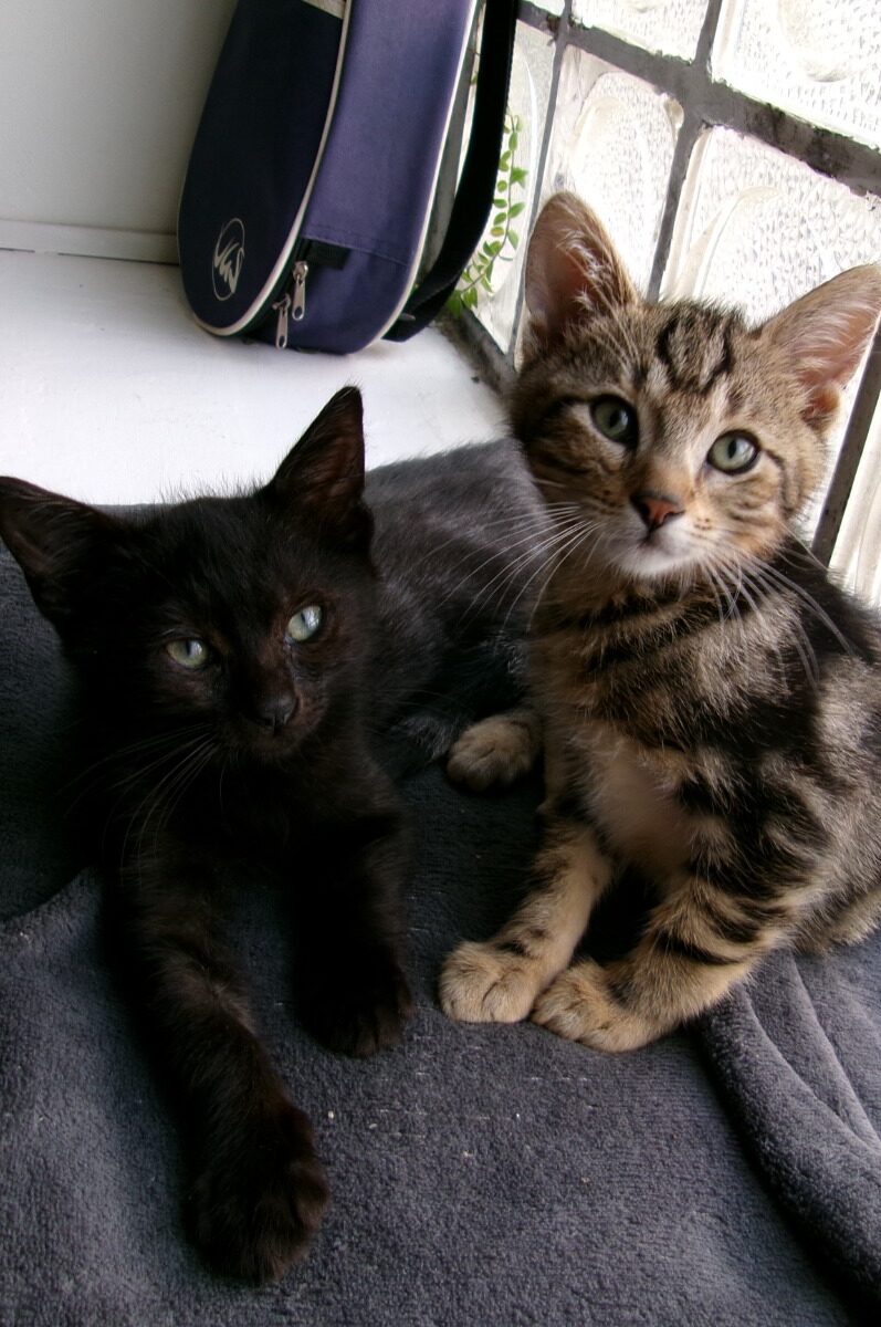 WhatsApp Image 2025-10-25 at 12.15.34