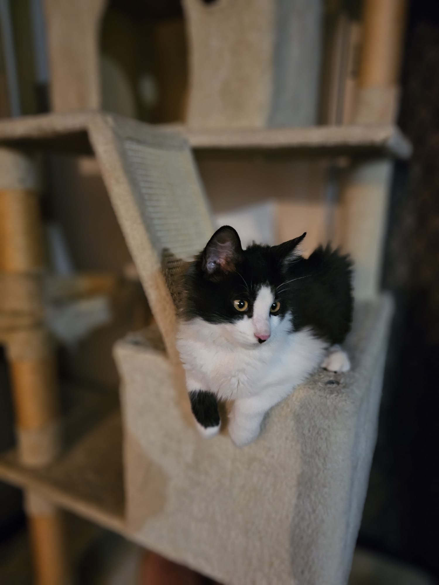 WhatsApp Image 2025-10-25 at 23.56.48