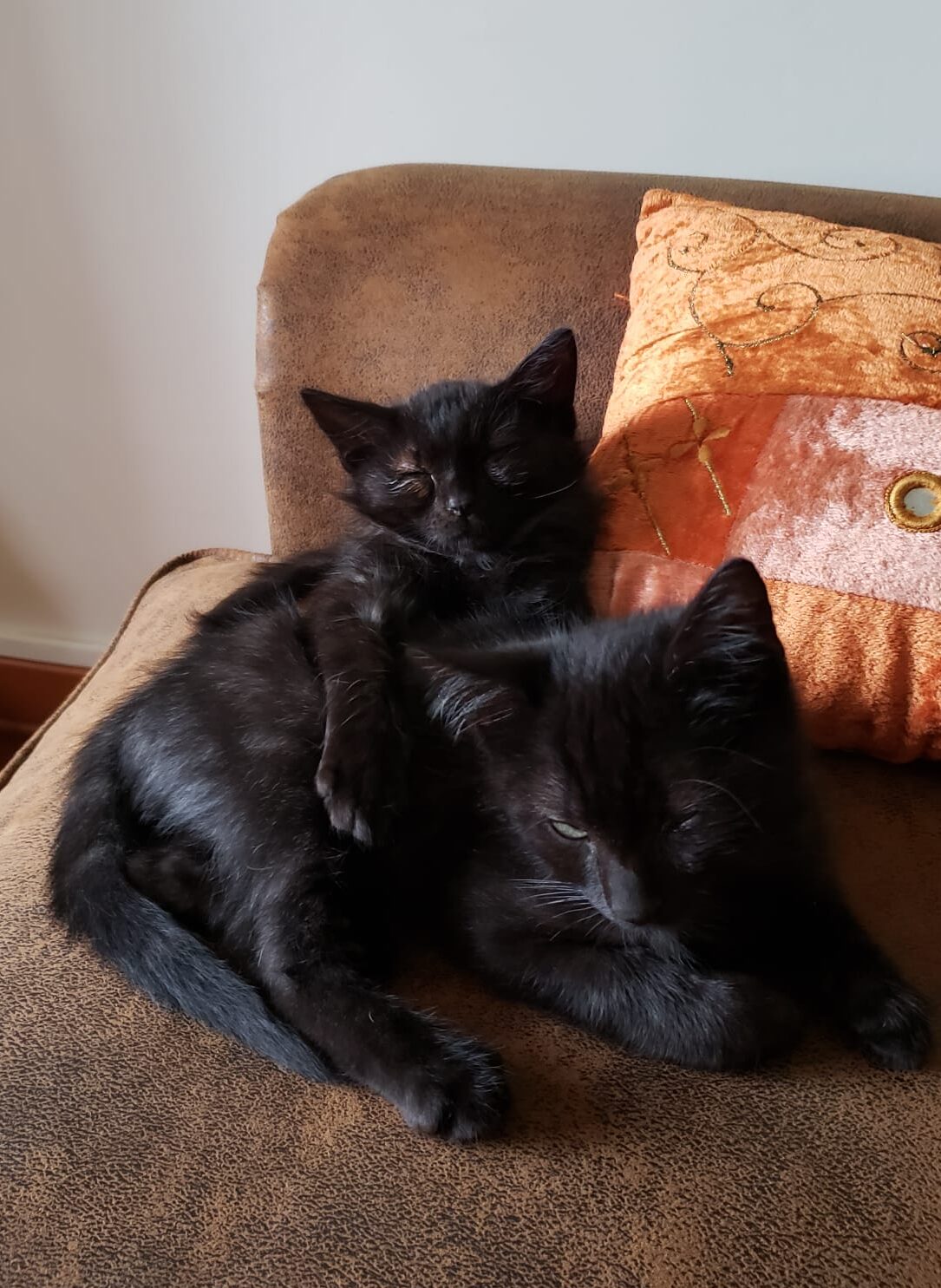 WhatsApp Image 2025-10-26 at 10.23.30 (2)