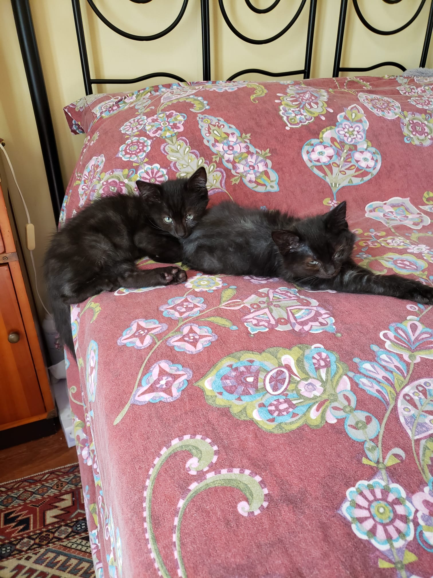 WhatsApp Image 2025-10-26 at 10.23.30 (4)