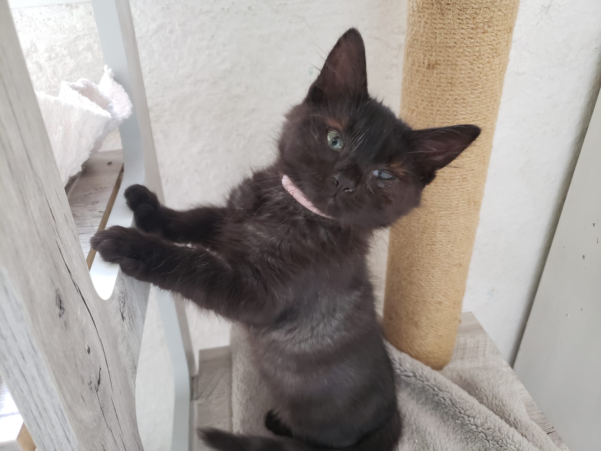 WhatsApp Image 2025-10-26 at 10.23.30