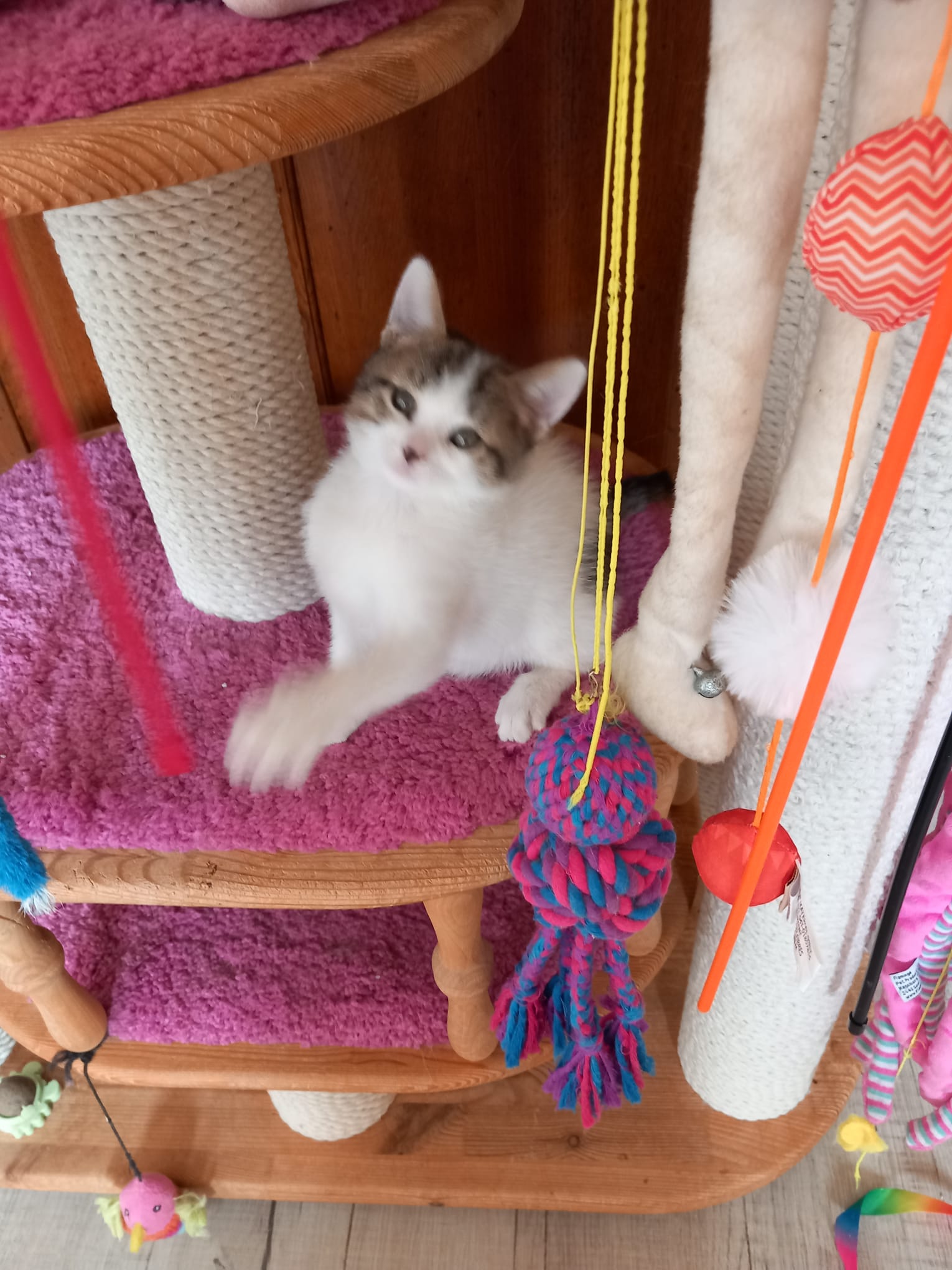 WhatsApp Image 2025-10-26 at 10.33.00