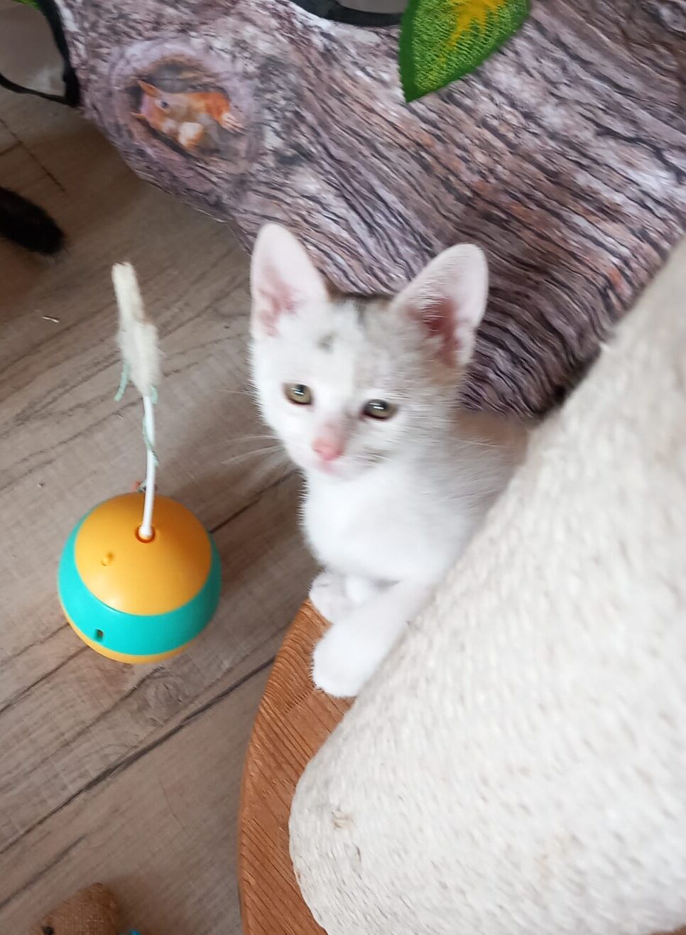 WhatsApp Image 2025-10-26 at 11.17.15 (2)