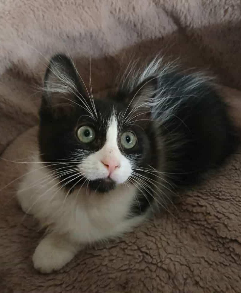 WhatsApp Image 2025-10-26 at 11.30.45