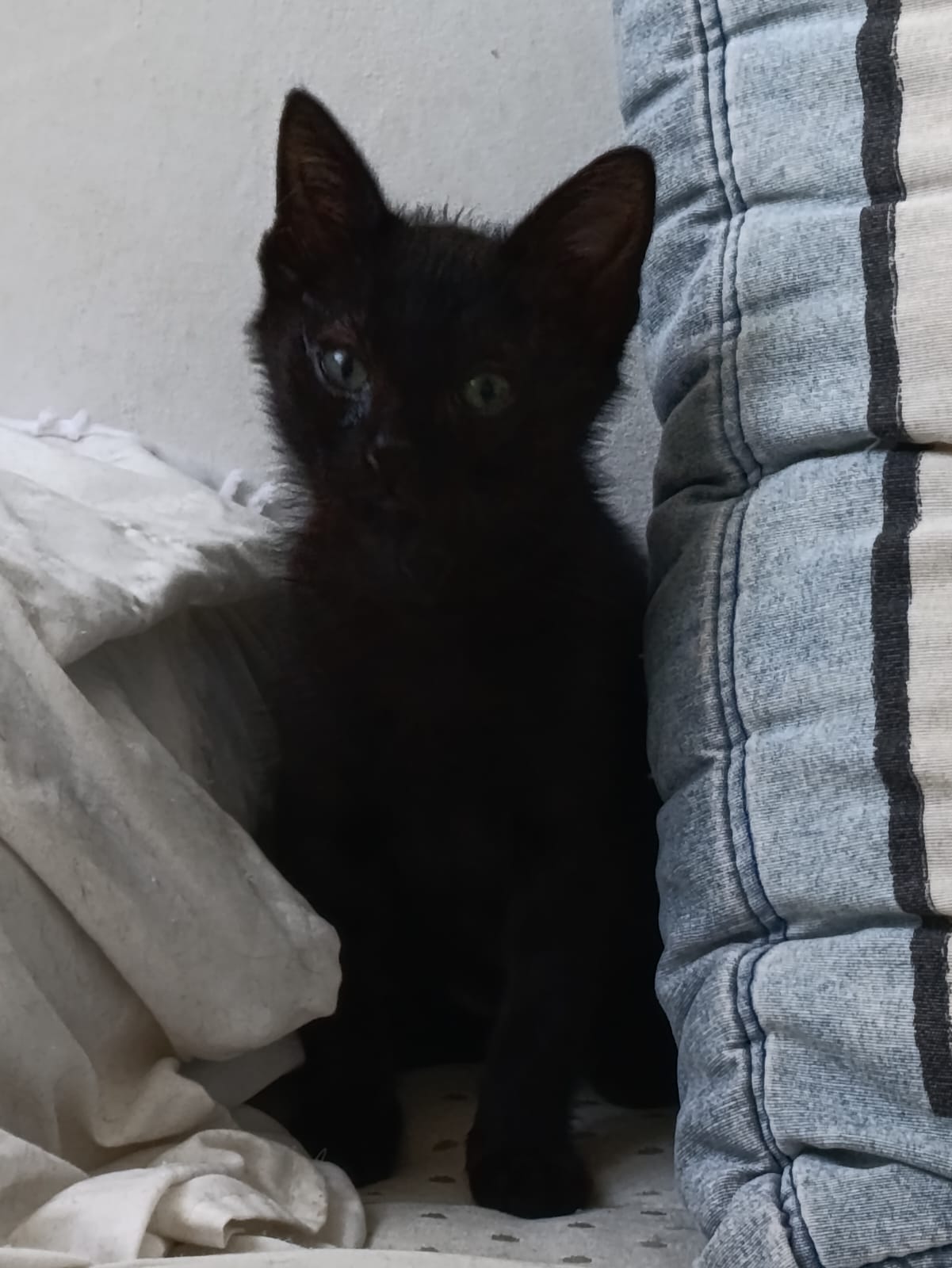 WhatsApp Image 2025-10-26 at 11.32.16 (1)