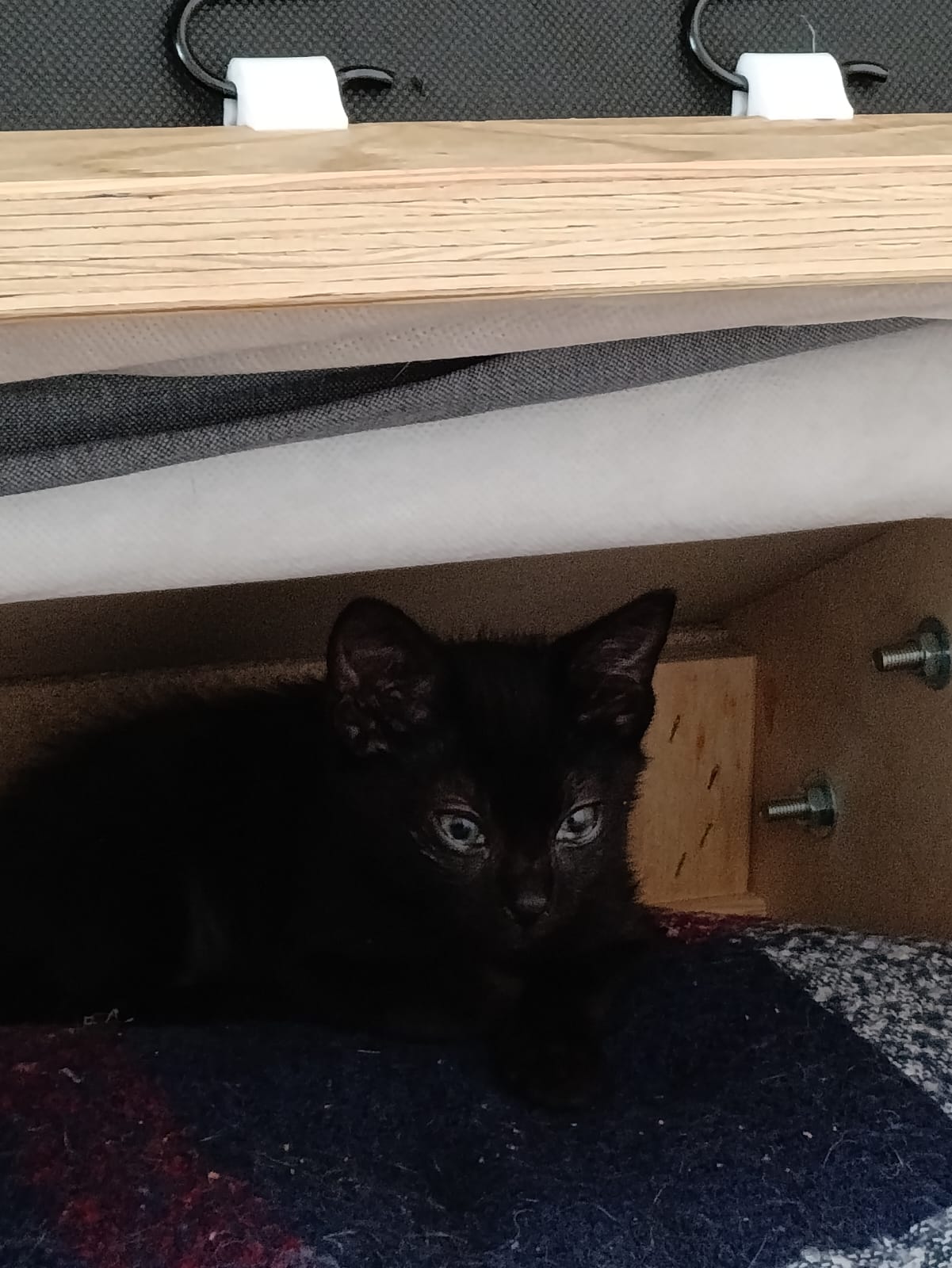 WhatsApp Image 2025-10-26 at 11.32.16 (2)